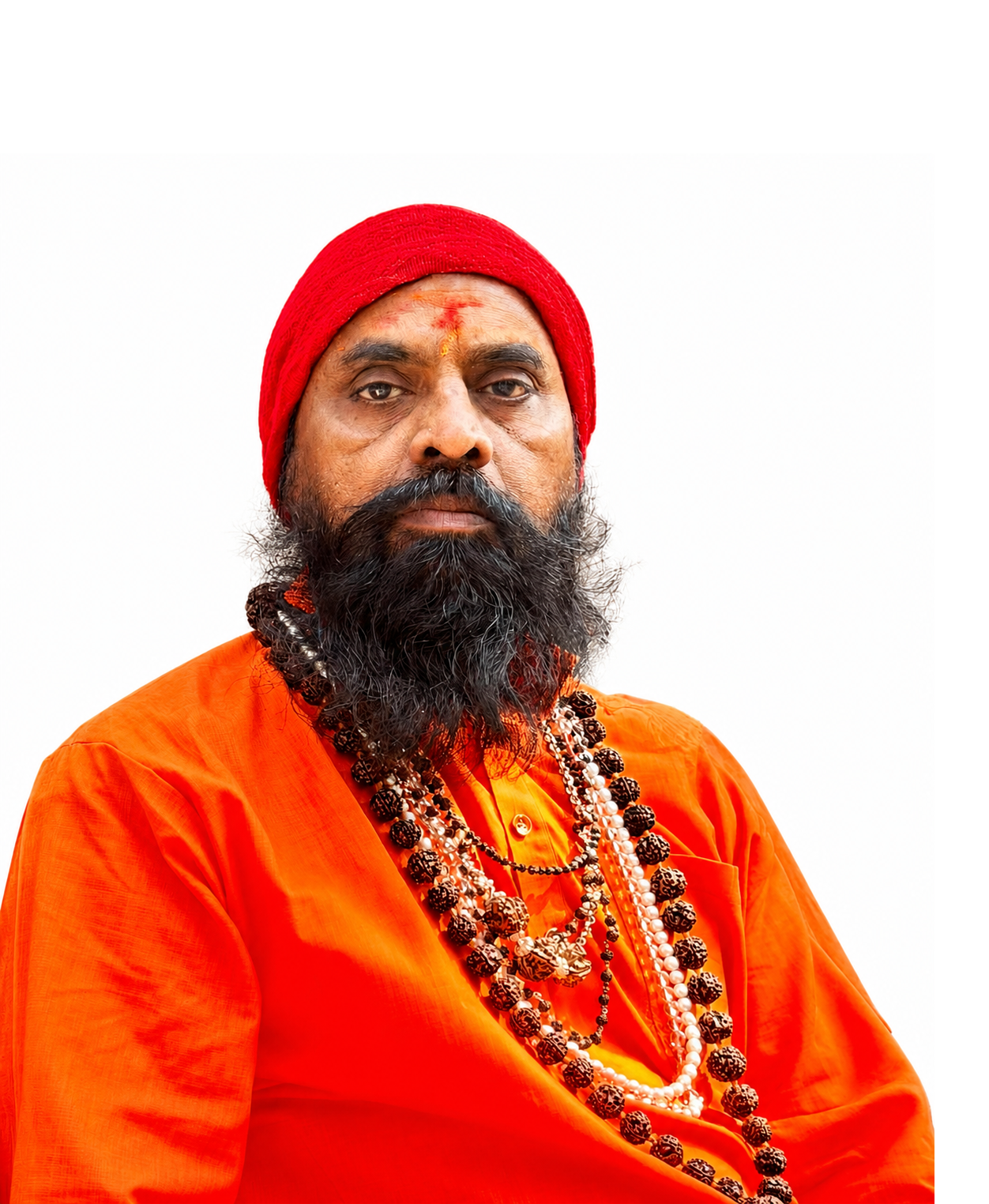 महंत प.पू.डॉ.श्री श्री श्री धनेश्वर भारती गुरु मधुसूदन भारती